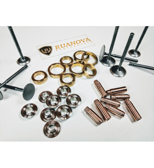 Beryllium copper Valve guides + Viton seals for R5 Gt Turbo R11