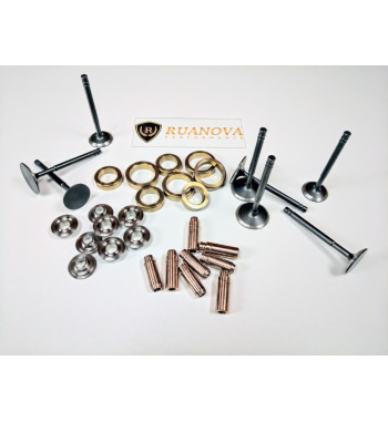 Beryllium copper Valve guides + Viton seals for R5 Gt Turbo R11