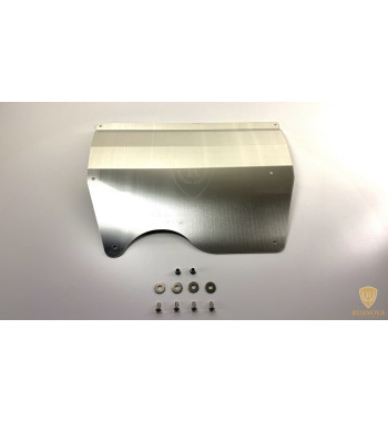 Cubrecarter duroaluminio Renault Clio Williams protector 16V